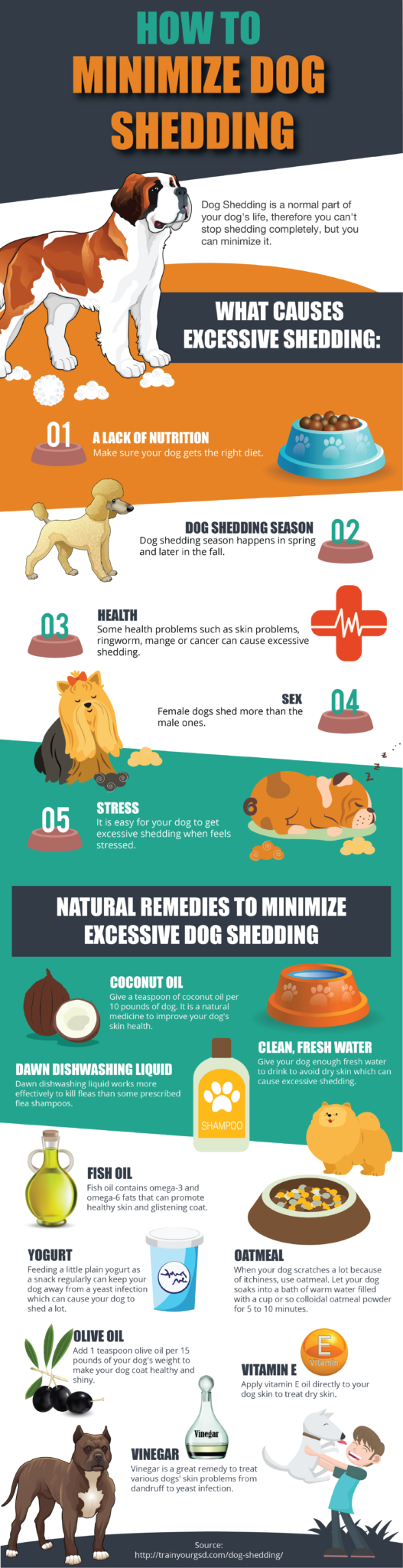 How to Minimize Dog Shedding and Pet Allergies