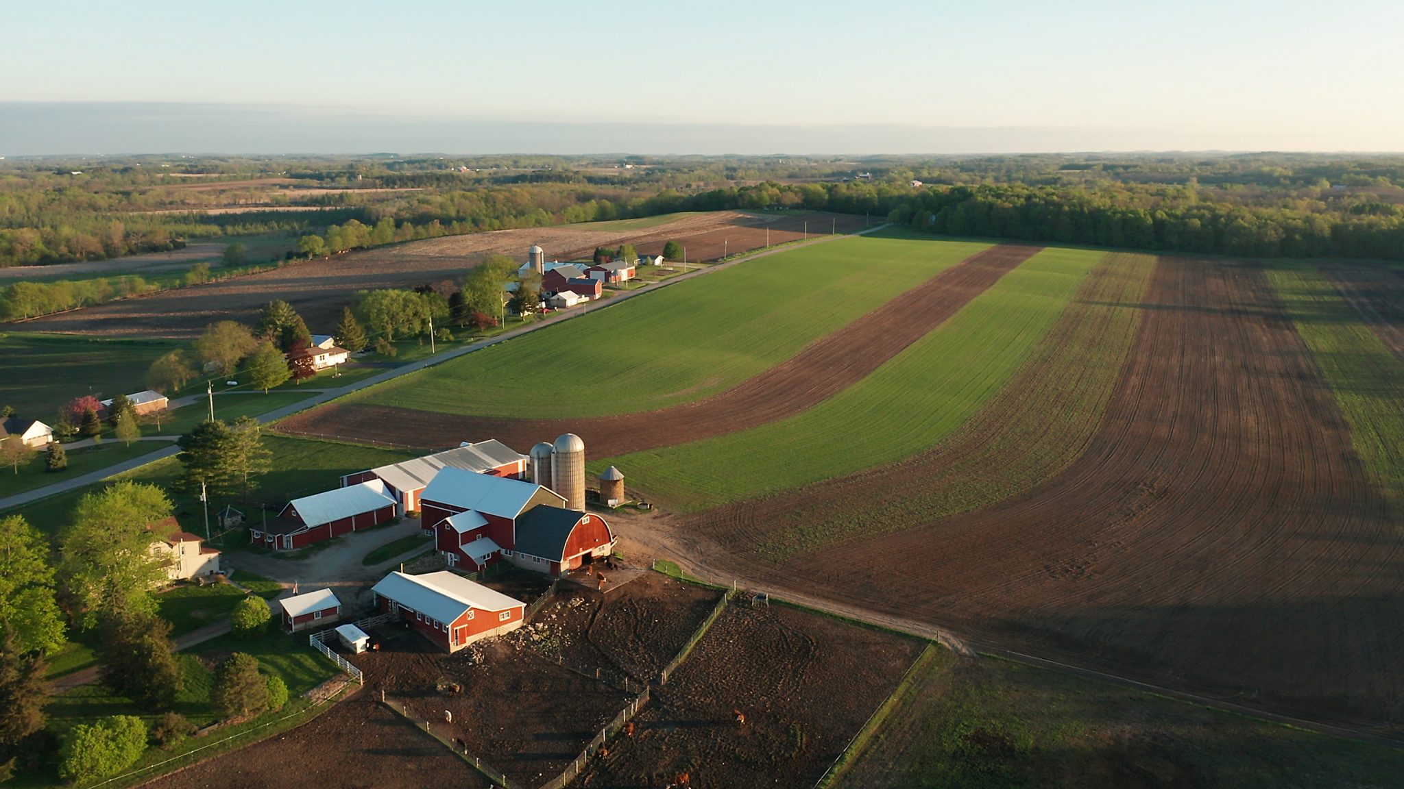 rural communities ancillary healthcare services