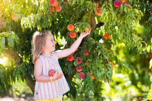 Fresh fruits can cause allergy symptoms similar to common environmental allergen irritants.