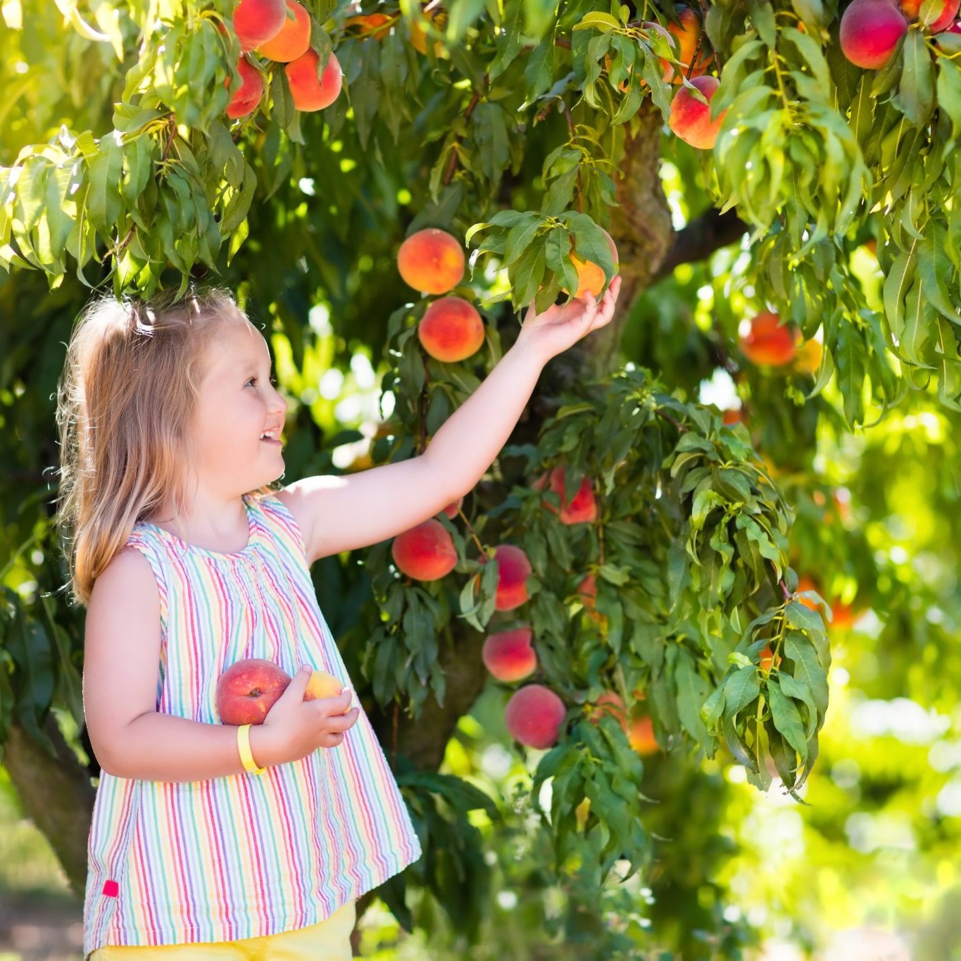 Fresh fruits can cause allergy symptoms similar to common environmental allergen irritants.