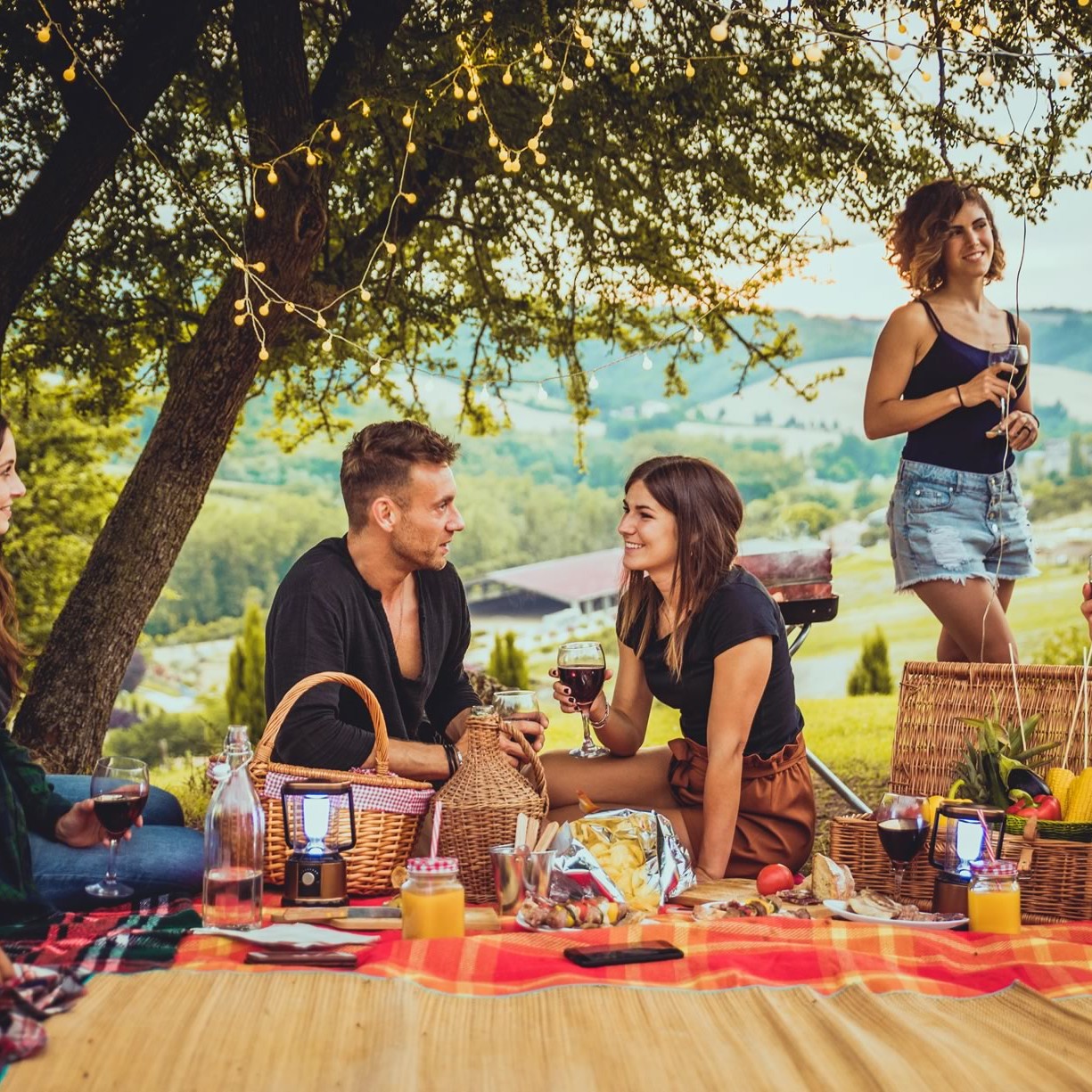 Independence from Summer Allergies