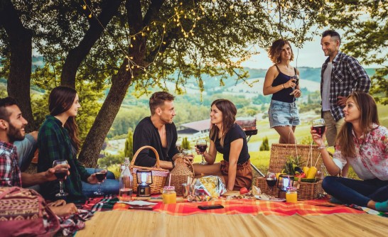 Independence from Summer Allergies