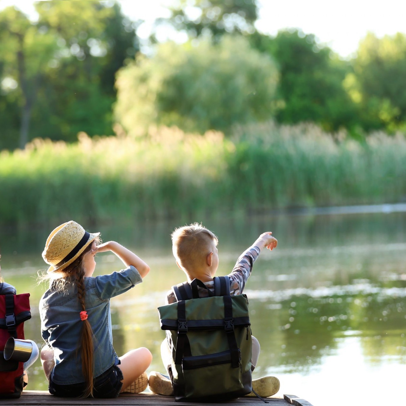 Summer allergy avoidance tips