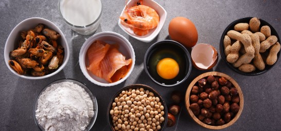 Food allergy testing, food sensitivity tests, the big 9 food allergens