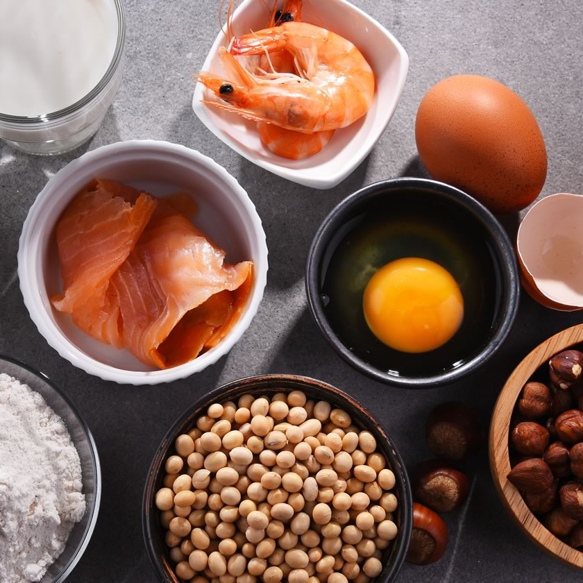 Food allergy testing, food sensitivity tests, the big 9 food allergens