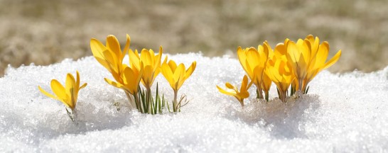 Shake off the winter blues