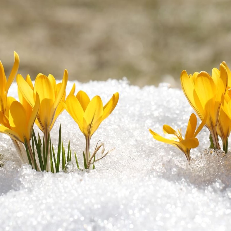 Shake off the winter blues