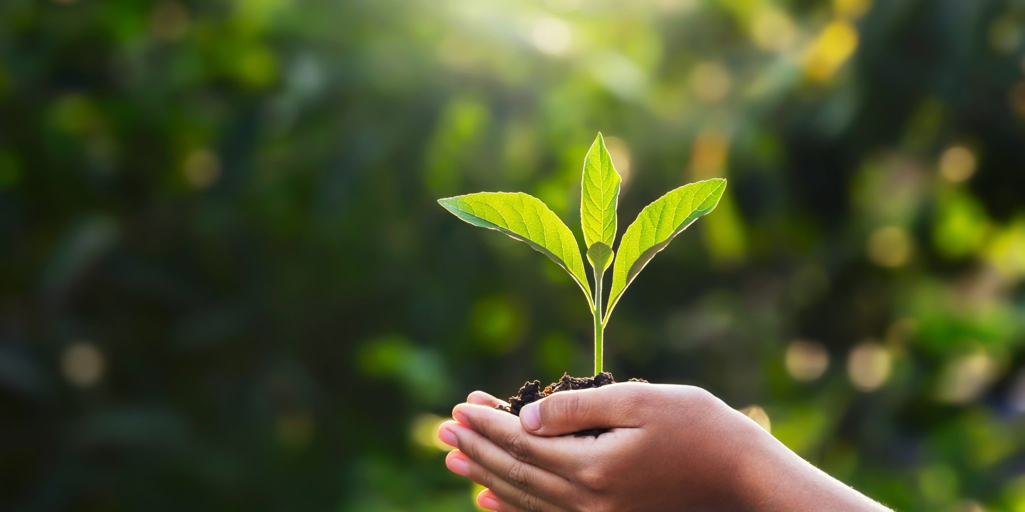 Earth Day and Climate Change Effects