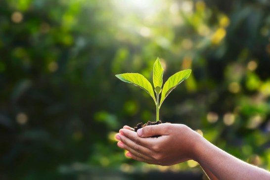 Earth Day and Climate Change Effects
