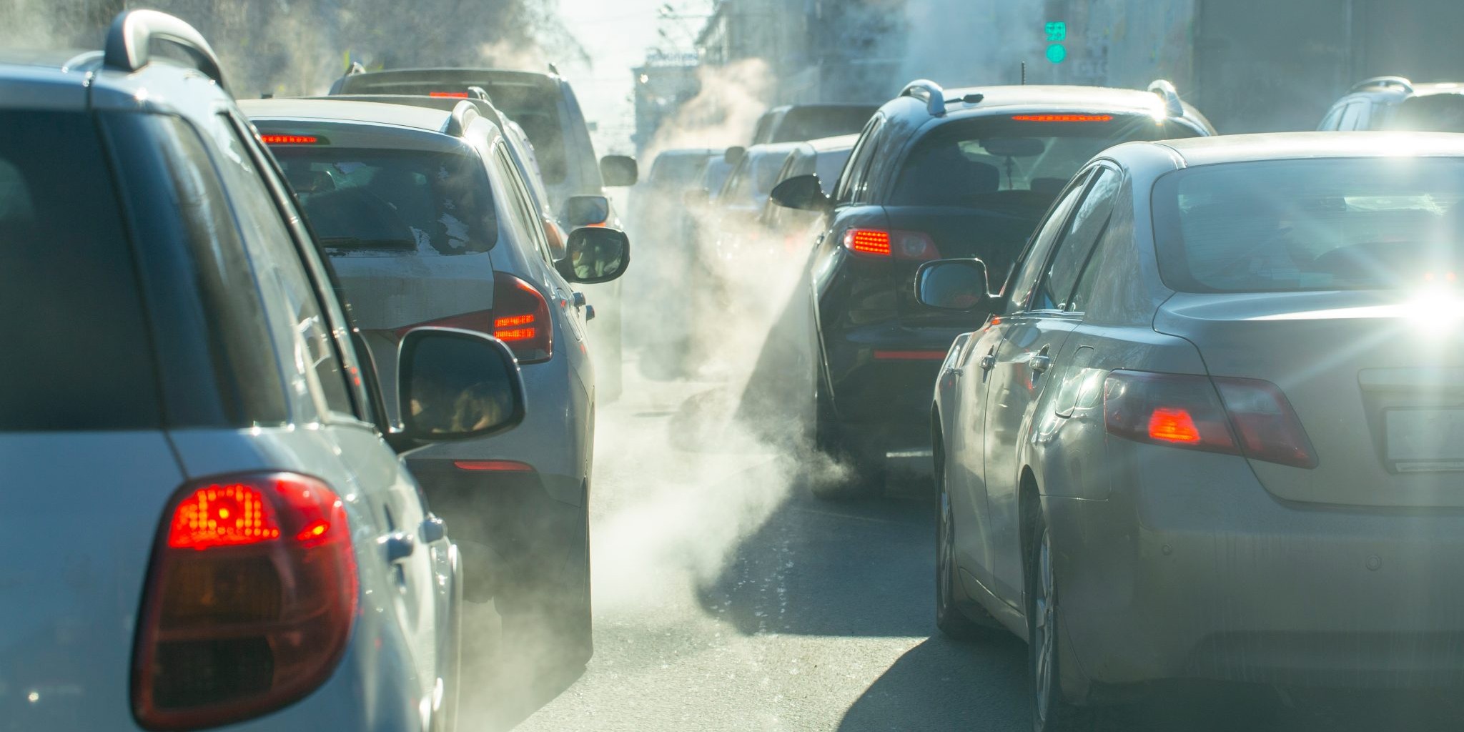 The link between Allergies, Asthma, and Air Quality
