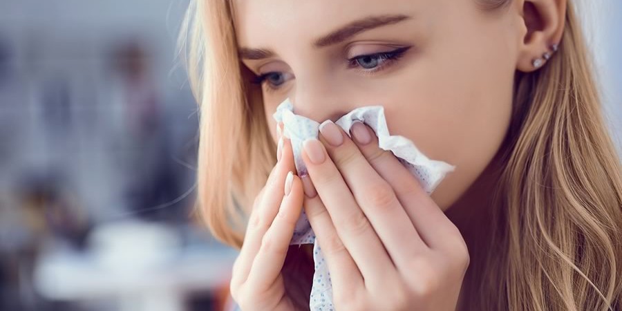 Allergy Quiz