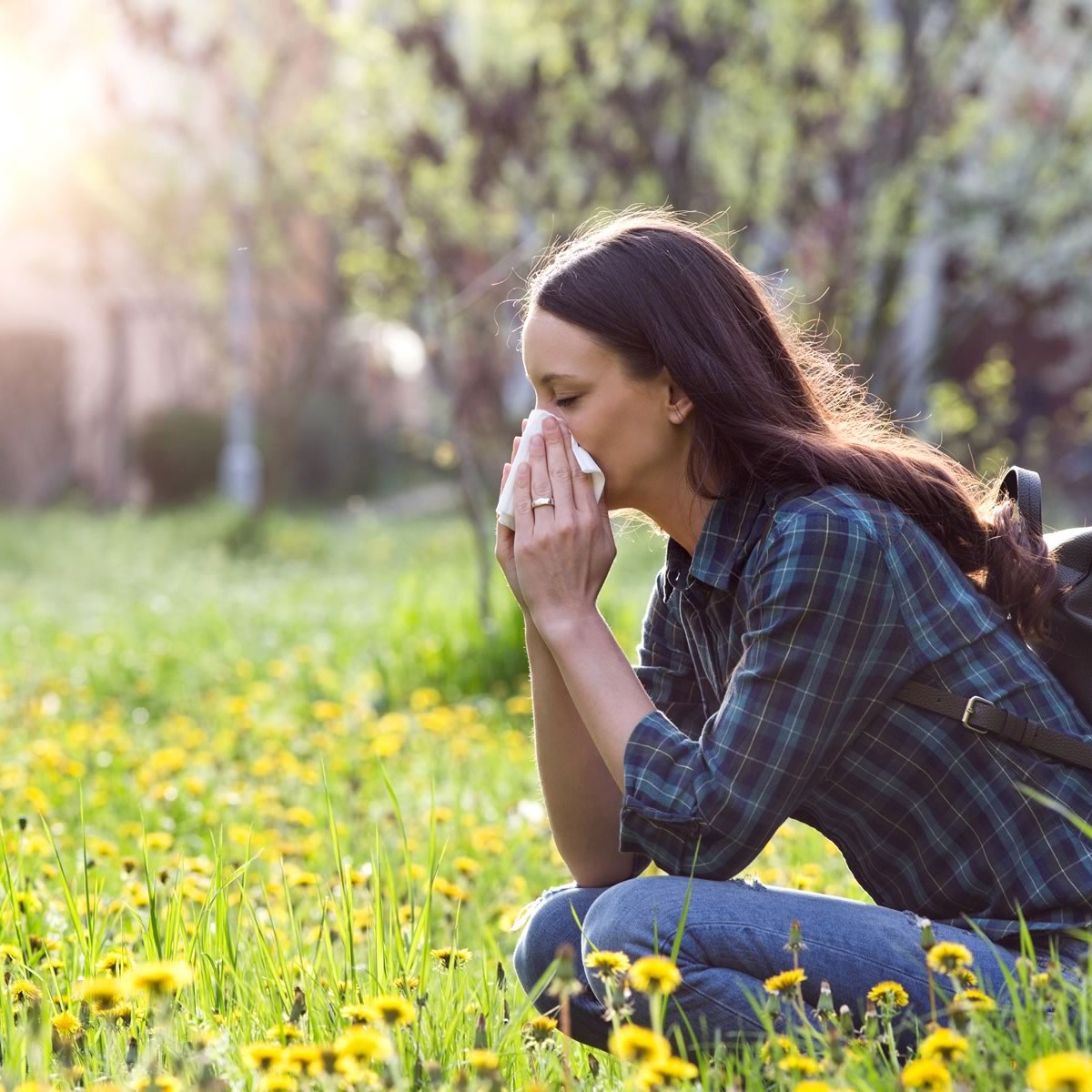 Am I suffering from allergies? Allergy quiz, allergy testing